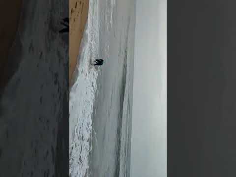 Tashu want to play in sea