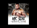 Mr.Sche - The Drunken Master