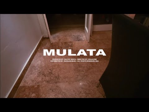 Mulata En La Pista - Hector El Troyano