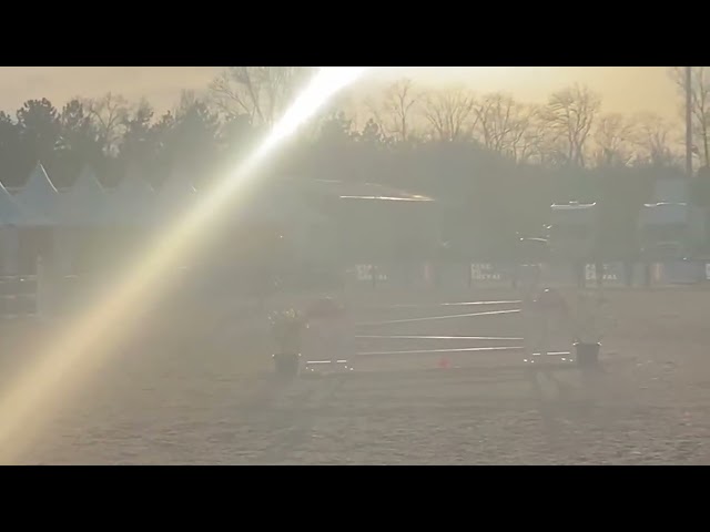 Poney m&acirc;le 4 ans. IPO 132