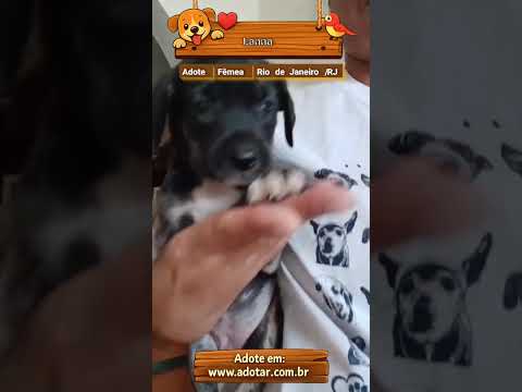 Vídeo de Lanna