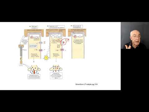 Visão aula 3 Transdução da luz nos fotorreceptores