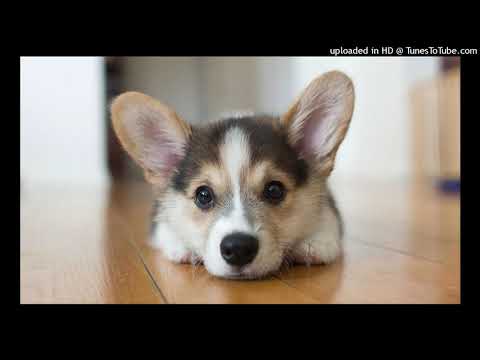 CamelPhat x Cristoph feat. Jem Cooke - Breathe (Original Mix) 432Hz