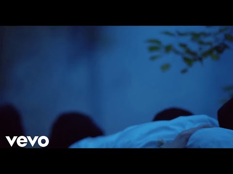 Video Placeholder