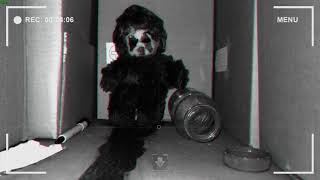 DUMB: Treasure - Gameplay