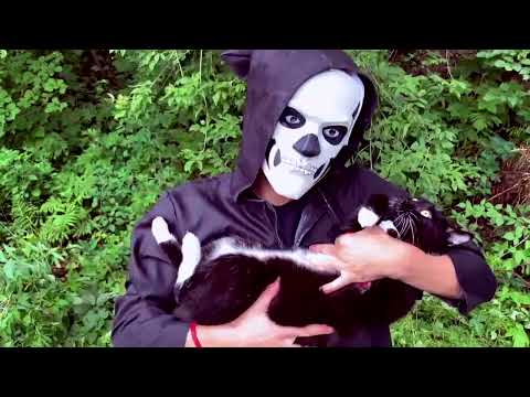 The Dead Shakers - Compost Is The Future (Self)