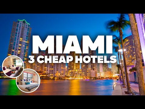 3 GOOD AND CHEAP HOTELS IN MIAMI! Great location, close to everything!