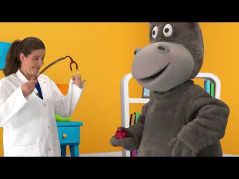 PANDAMANIA - Cantinho dos Animais - Perguntas e respostas