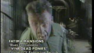 The Fatima Mansions - Blues For Ceausescu (480p)