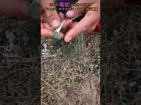 悪臭を怖がらせるものはガーデンハウスの漂白剤をリラックスさせます