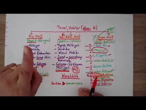 ÖZEL HAKLAR | TEMEL HAKLAR | 3. VİDEO | SERVAN HOCA