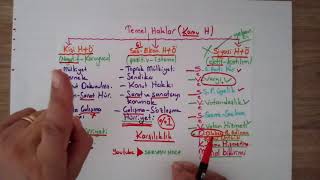 ÖZEL HAKLAR | TEMEL HAKLAR | 3. VİDEO | SERVAN HOCA