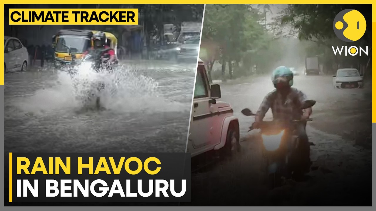 Bengaluru Rains: 8 Rain-Linked Deaths Confirmed Across The City | WION Climate Tracker