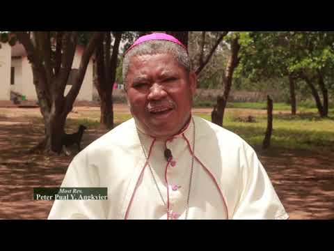 The Story of Damongo Diocese