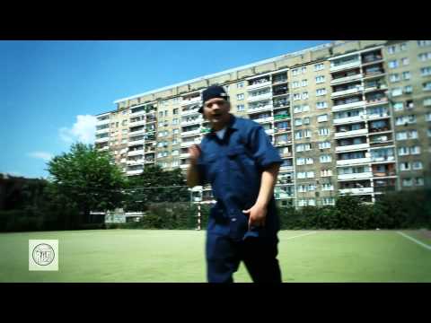 Kobra - Witamy w mieście