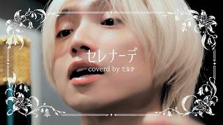 セレナーデ / なとり covered by たなか(Dios)