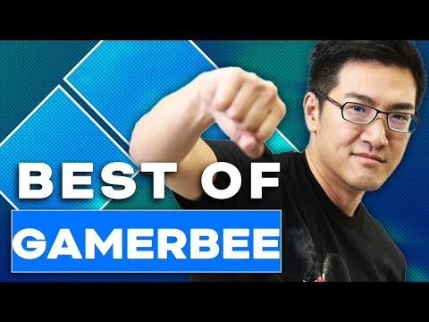 The Best of GamerBee at Evo
