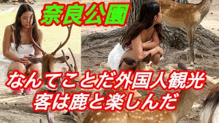 なんてことだ😘 外国人観光客は鹿と楽しんだ (奈良公園) ディアパークオリンピック国立公園🫎| Japan Vlog