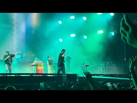 Subcarpați - Frunzuliță, Iarbă Deasă [Piele De Găină] | LIVE ​@ElectricCastleFestival10 21 iul '24