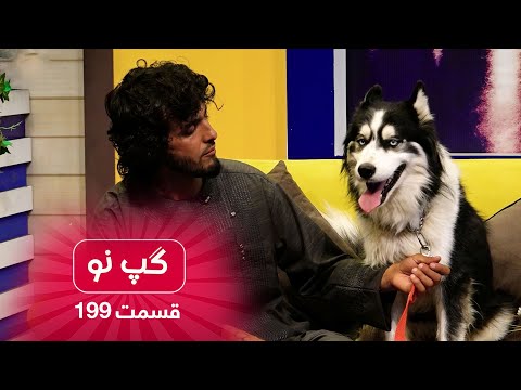 Gape Naw with Hameed Bacha Haji, pet dog seller / گپ نو با حمید بچه حاجی، فروشنده حیوانات خانگی