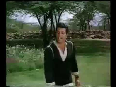 NA JA KAHIN AB NA JA - MERE HUMDUM MERE DOST - 1968 - M.RAFI ..
