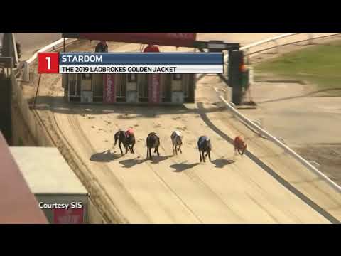 2019 GOLDEN JACKET FINAL - STARDOM