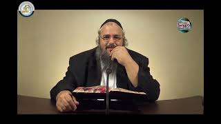 חוק לישראל - פרשת תולדות - יום שני | הרב שלמה לוינשטיין (ארגון קול הלשון) - התמונה מוצגת ישירות מתוך אתר האינטרנט יוטיוב. זכויות היוצרים בתמונה שייכות ליוצרה. קישור קרדיט למקור התוכן נמצא בתוך דף הסרטון