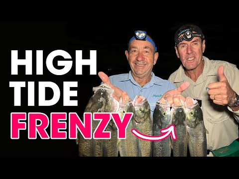 Beach Fishing FRENZY at High Tide: Instruction + Tactics ✅✅✅