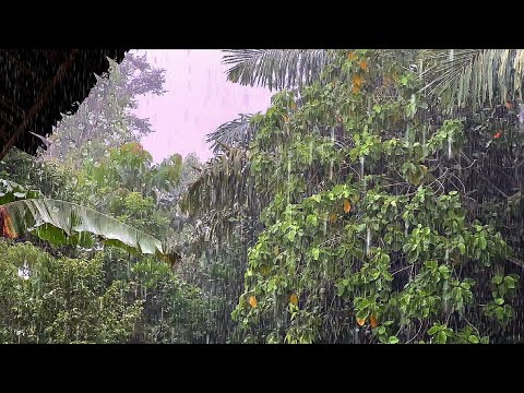 Unbelievable Benefits of Heavy Rain 🌧️ Therapy – Mind Reset Instantly!”