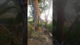 Download lagu 27 October 2025 mp3 Download lagu 27 October 2025 mp3