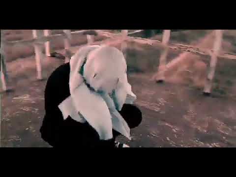 GENOCID/ / SKUNK X PIRU NARCHY X YUNG K!