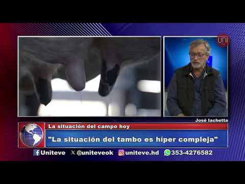 La situación del campo hoy