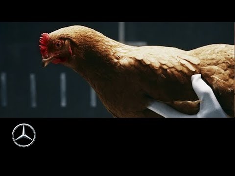 Mercedes Benz Magic Body Control explicado con una gallina