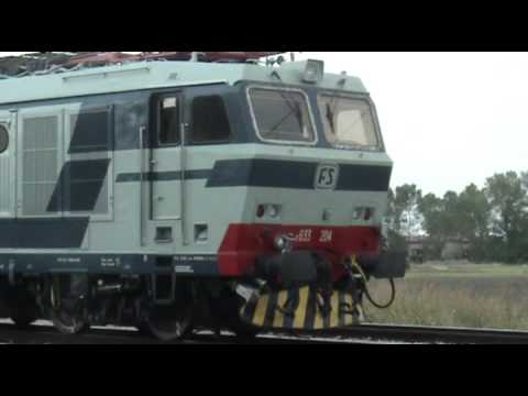 La Tigre piu bella in livrea old - a Castelguelfo