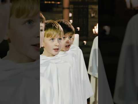 Carol of the Bells by Libera #Christmas #carol