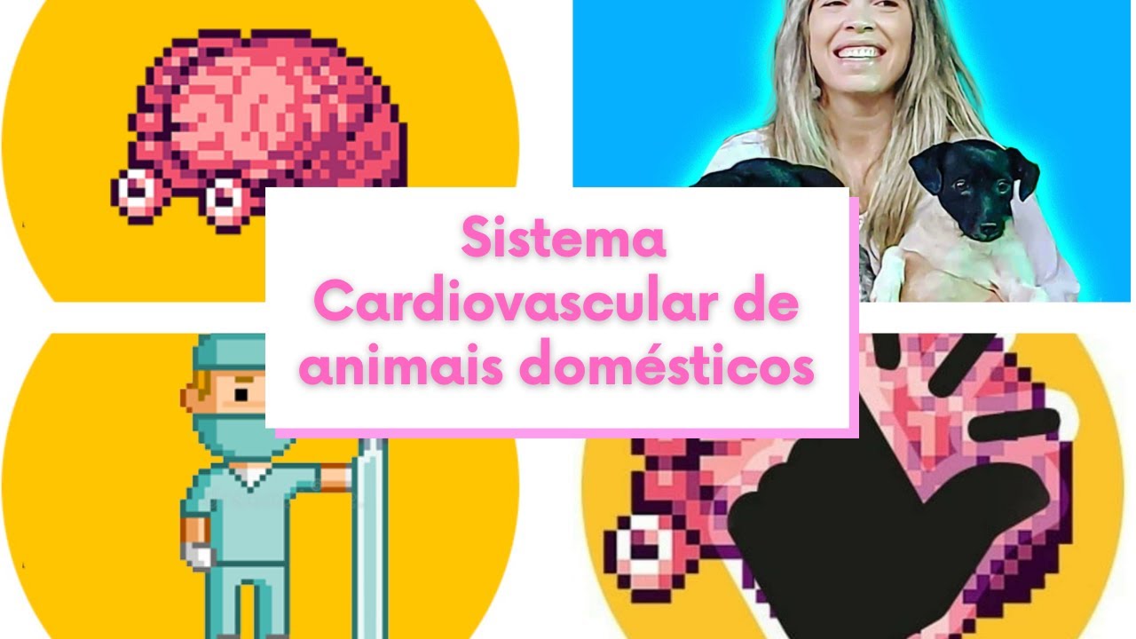 Sistema Cardiovascular de Animais Domésticos