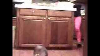 Livin' in The Projects