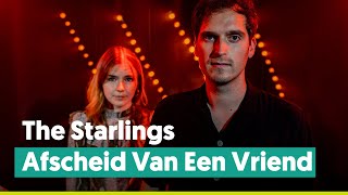 The Starlings - Afscheid Van Een Vriend (Clouseau cover) | live bij Joe