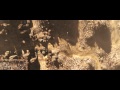 WALL E Intro