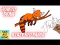 How to Draw a Lazy Sleepy Red Panda! - Step by step