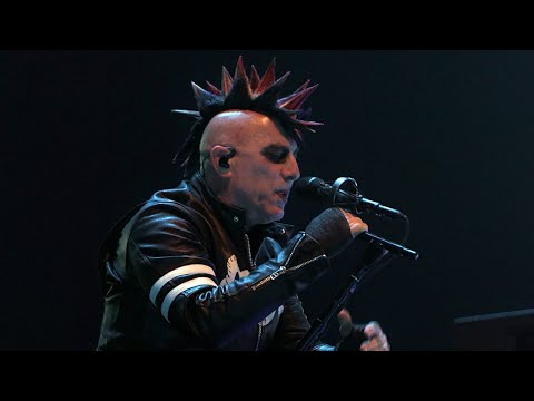 TOOL 'Vicarious' (Live in Auckland 2025) | Close-Ups + Pro Audio