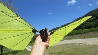 Butterfly 3k4-1 Servo direct drive  test flight video 2