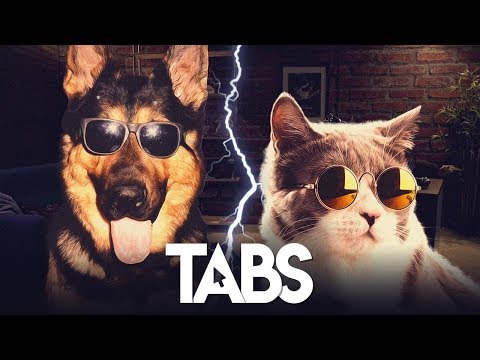 Clic droit sur LES CHIENS ET LES CHATS  - TABS
