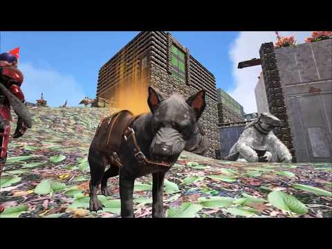 Hyaenodon Taming! Ark S1E18