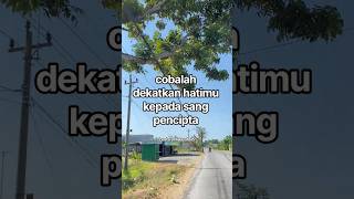 Download lagu Try drawing your heart closer to the Creator#advice#wise_words#motivation#shorts#fyp#videoshort mp3