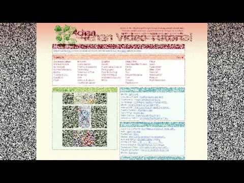 Lesson 1 Using 4chan Org Physical 4chan Video Tutorial