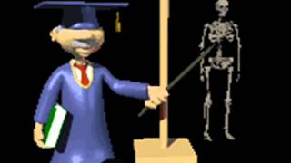 Al maestro con cariño-Rockin Devils