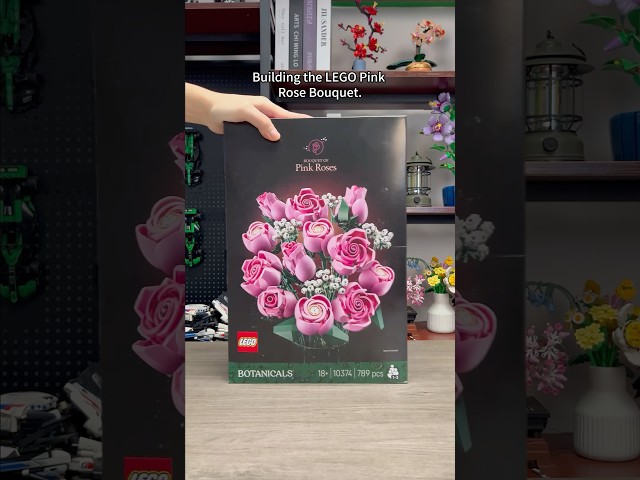 Vídeo relacionado con LEGO Botanicals Ramo de Rosas Rosadas - Maquetas para Adultos de Flores Artificiales - 12 Rosas y 4 Ramas de Paniculata Artificial - Decoración Floral del Hogar - Regalo Romántico para Mujeres 10374
