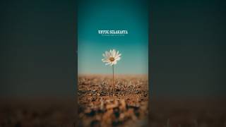 Download lagu Cukup satu cinta #akutakmemintahartadantahta #cukupsatucintauntukselamanya #liriklagu #overlay mp3