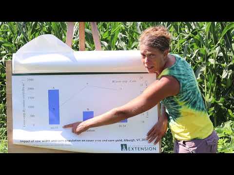 Solar Corridor Cropping Systems Experiment